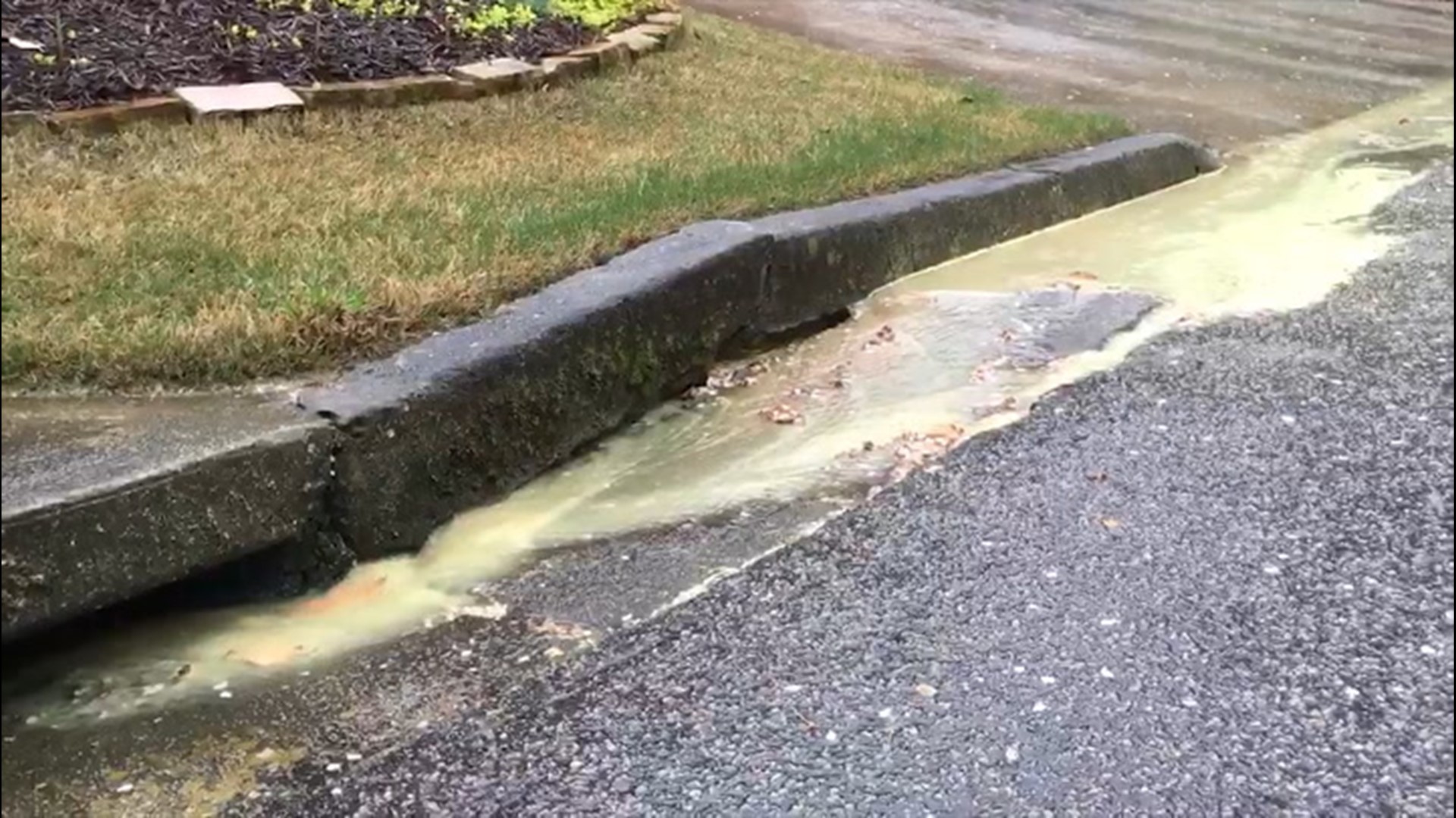 Pollen is in the air, on the ground, and now, after rainstorms across Georgia over the weekend, it's filling the water as spring kicks into high gear.