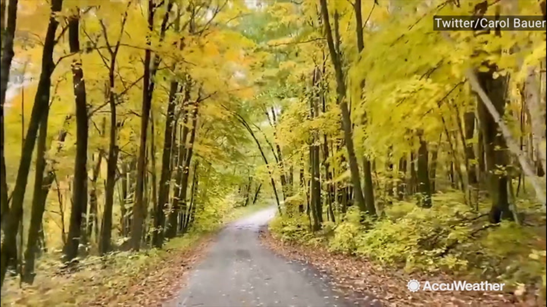 An autumn drive through Maplewood State Park