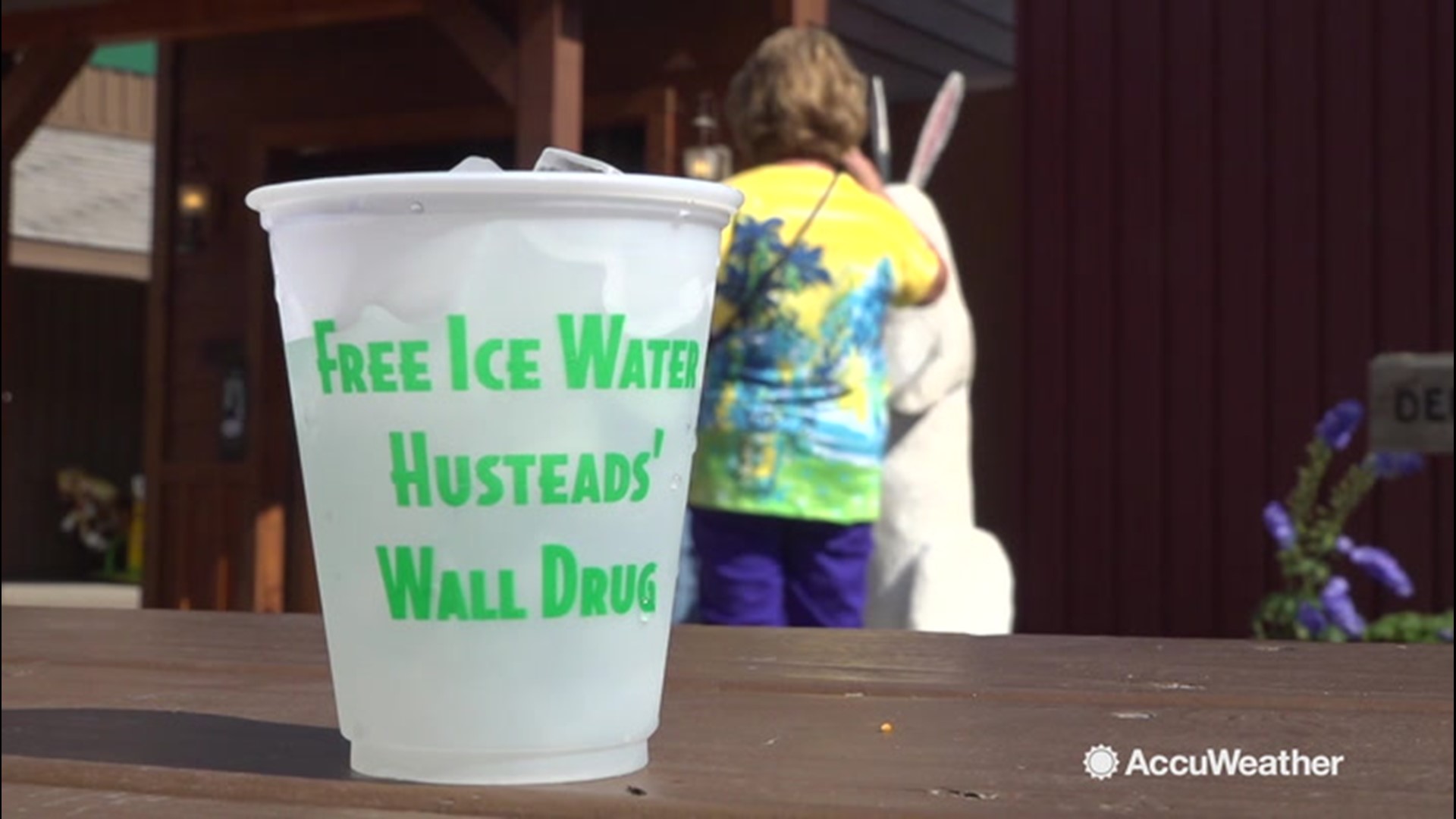 How Wall Drug Store turned free ice water into millions of customers ...