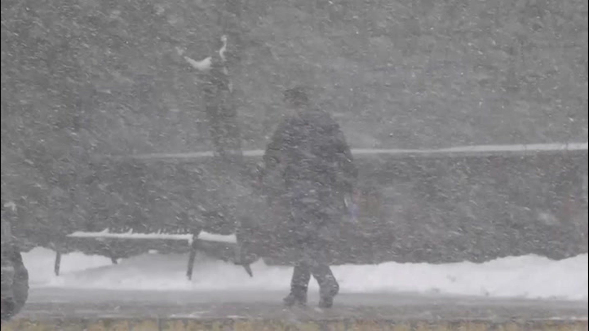 Millions of phones buzzed to alert people in the Northeast that a snow squall was heading their way. The warning came from the NWS to emphasize the treacherous conditions the quick bursts of snow can cause.