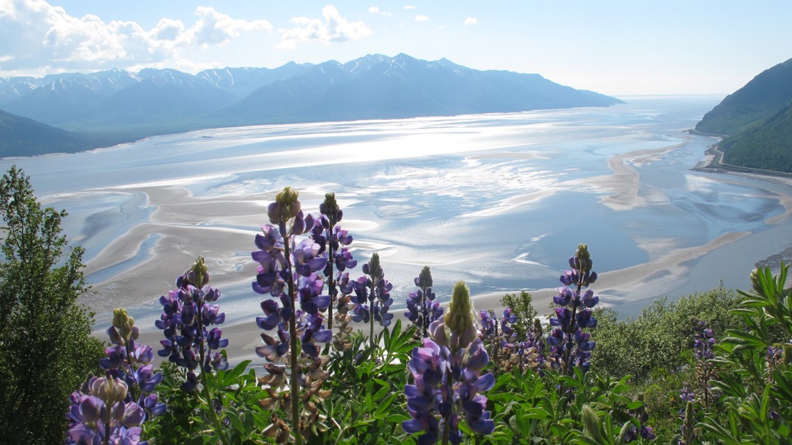 Man drowns in Alaska's Turnagain Arm mud flats - Vimarsana News