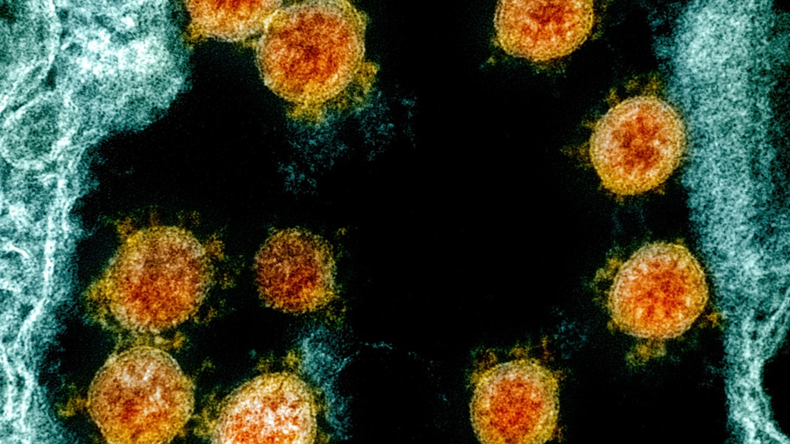 In a lab coronavirus survived up to 28 days on certain 
