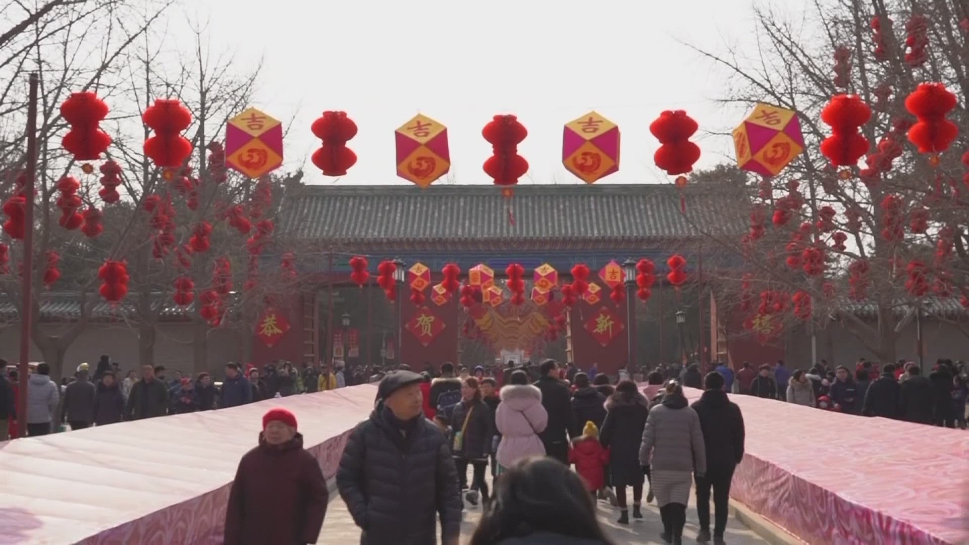 Families celebrated the Year of the Pig with Lunar New Year festivities in China.