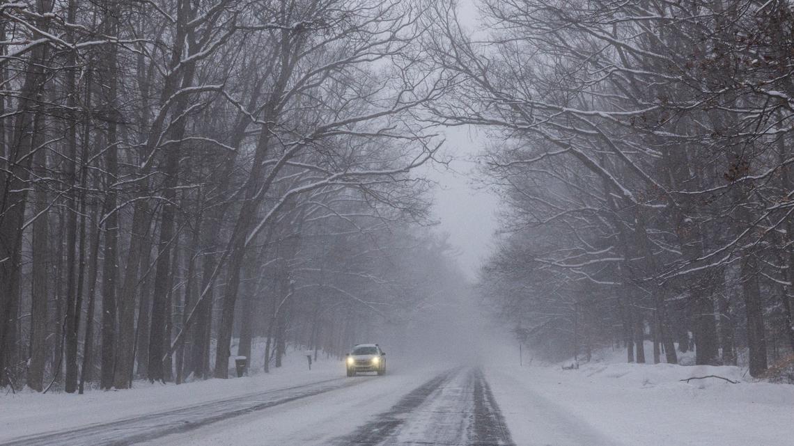 Can trees 'explode' during winter weather?