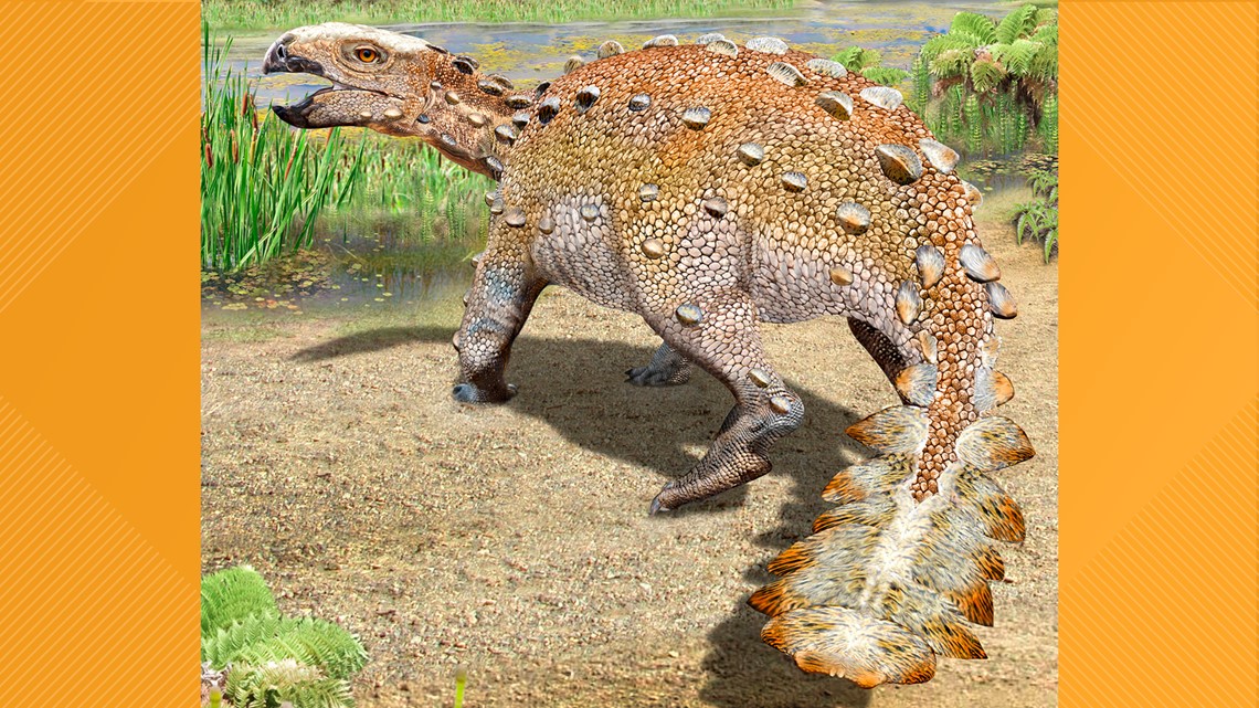 ankylosaurus dinosaur king