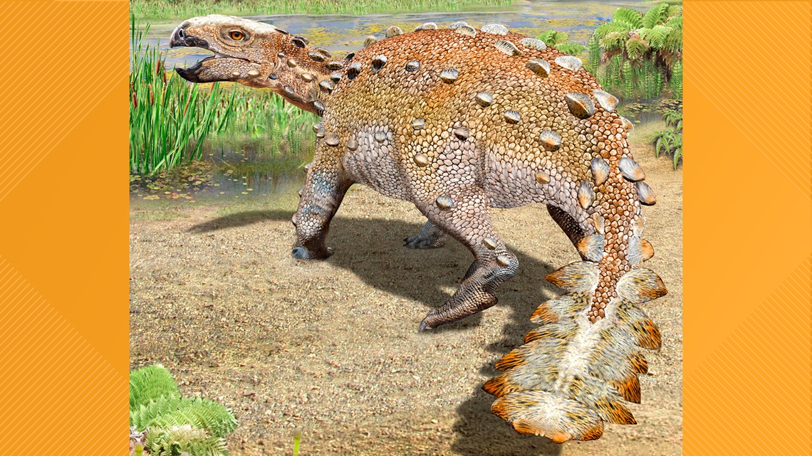 Tarbosaurus getting Leg-Checked by an Ankylosaur