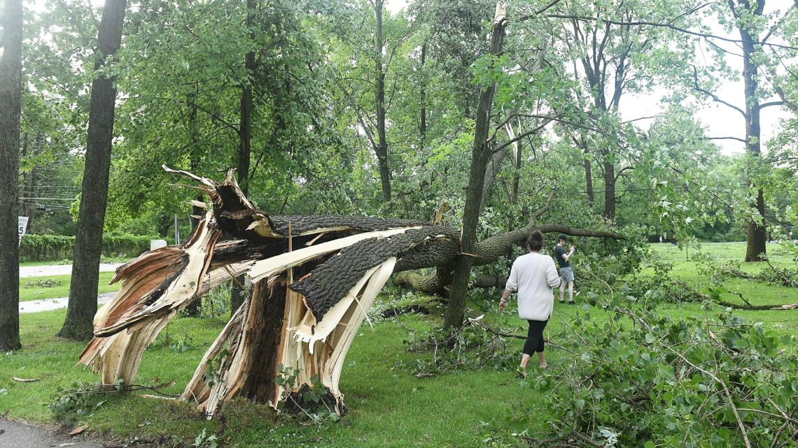 Tornadoes kill toddler in Michigan, injure several in Maryland - Vimarsana News