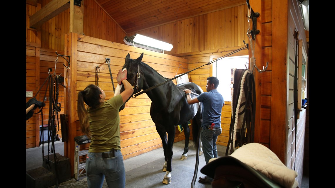 rent stables for horses near me