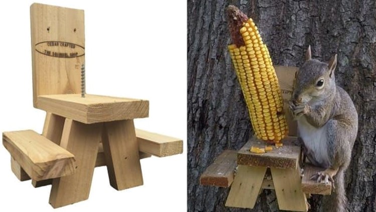 10 Popular Products That Will Attract Wildlife To Your Backyard