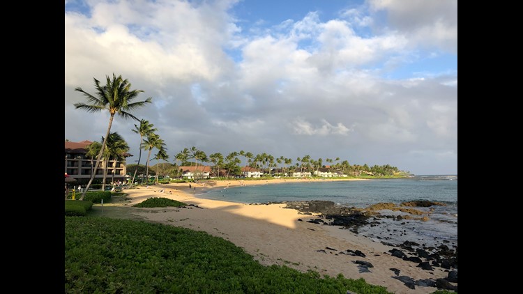 Photo Tour Kauai Hawaiis Magical Garden Island Wltxcom