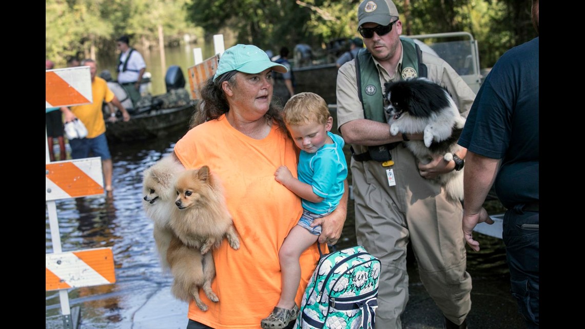 Saving pets without a permit: Good Samaritan arrested after helping animals survive Florence | wltx.com