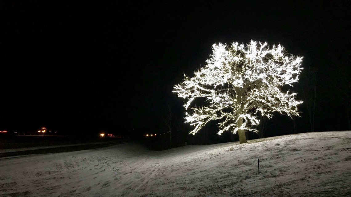 Stunning tree of lights is gift to I-35 holiday travelers | wltx.com