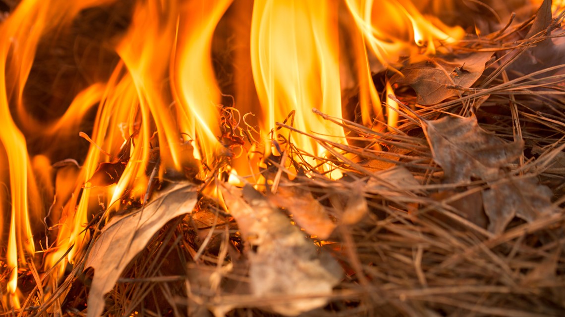 Very dry weather can lead to potential wildfires - Vimarsana News