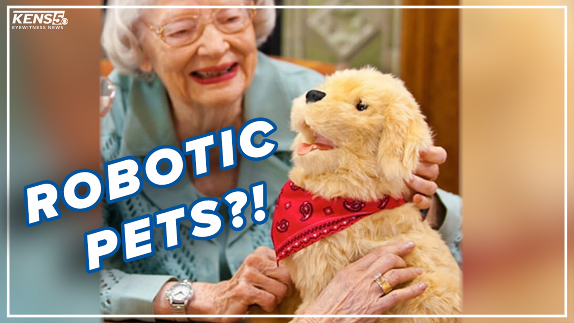 If you're looking for a companion, especially in the pandemic, The Alzheimer's Store has an option for you — robotic pets. Digital reporter Lexi Hazlett shares more.