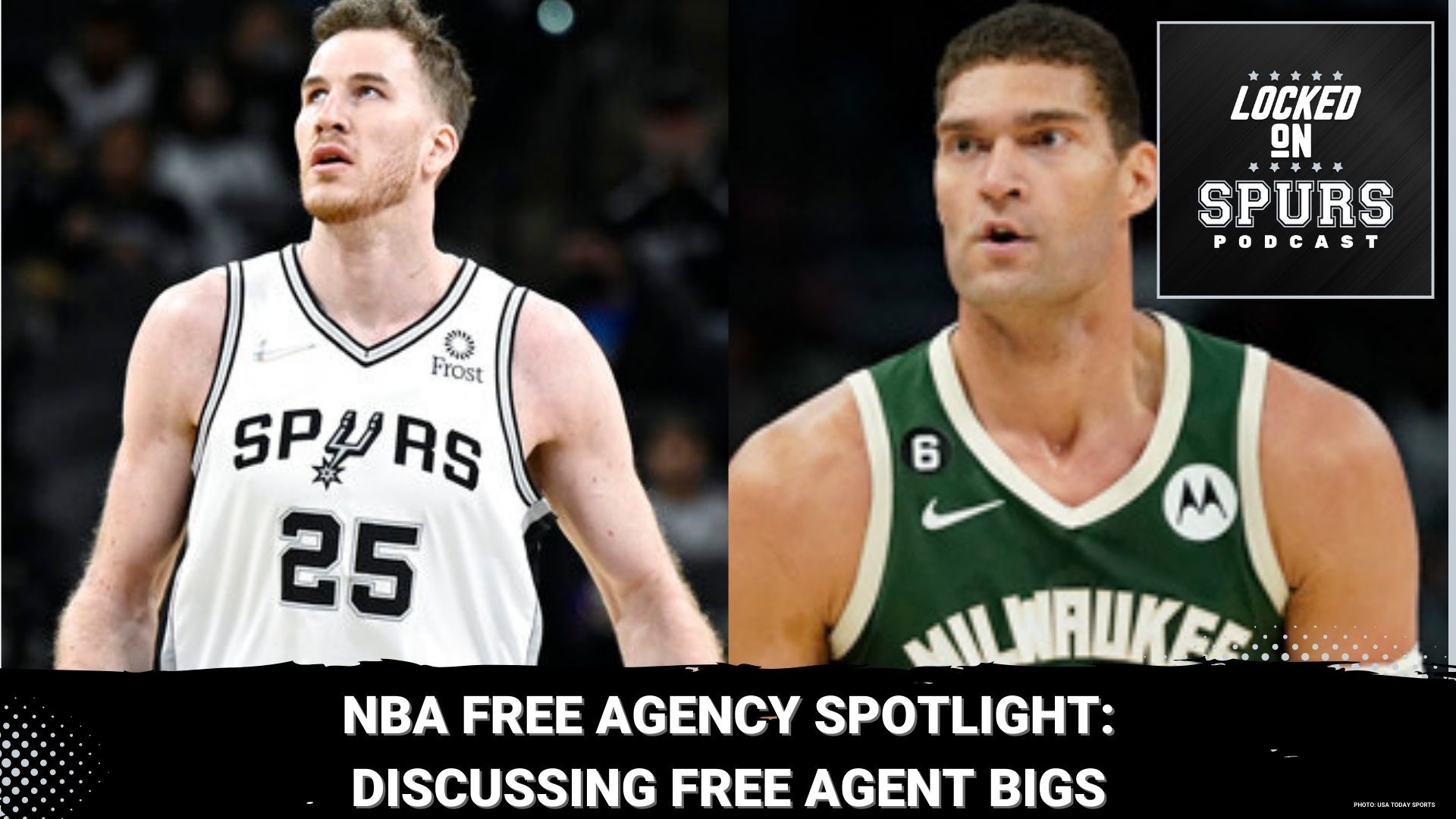 Let's take a look at free agent bigs the Spurs could target.