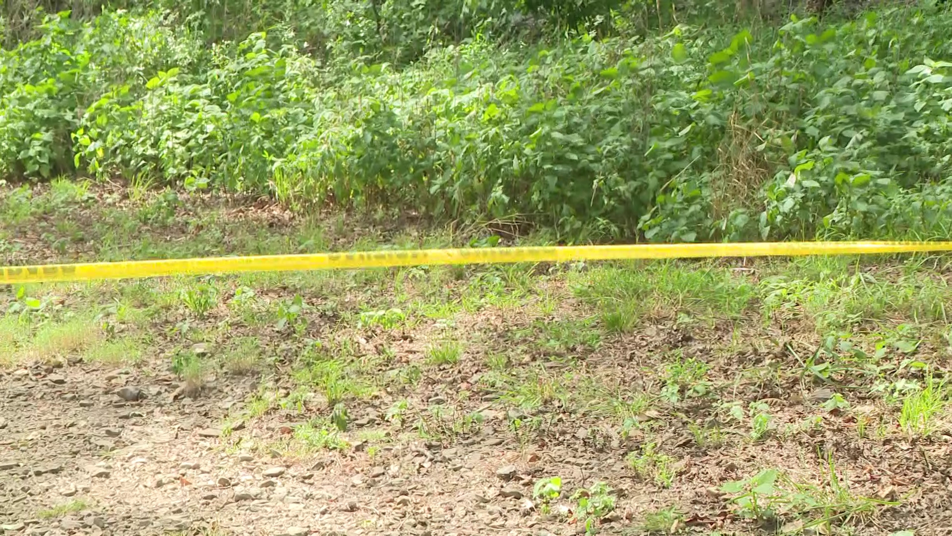 Here's everything we know about the couple killed while hiking at Devil's Den on Saturday, July 26.