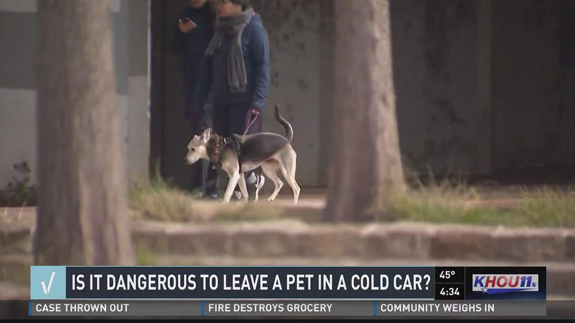 We know it's dangerous to leave our furry friends in cars when the temps are hot, but is it also dangerous to also leave them in these cold temps during the winter months?