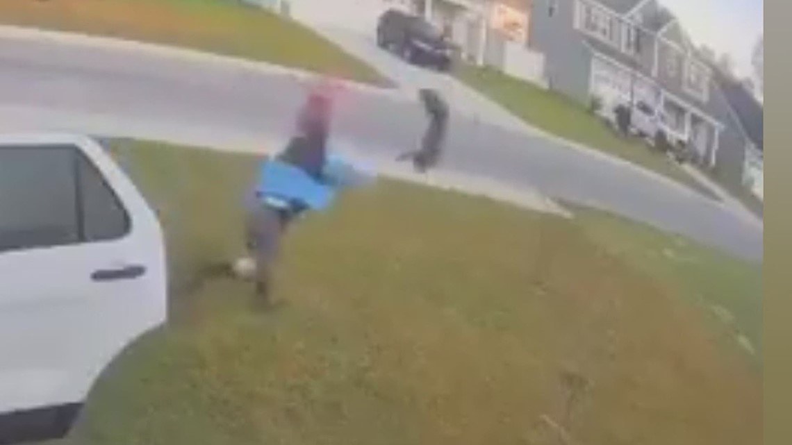 Bobcat attack goes viral; North Carolina man saves wife in danger