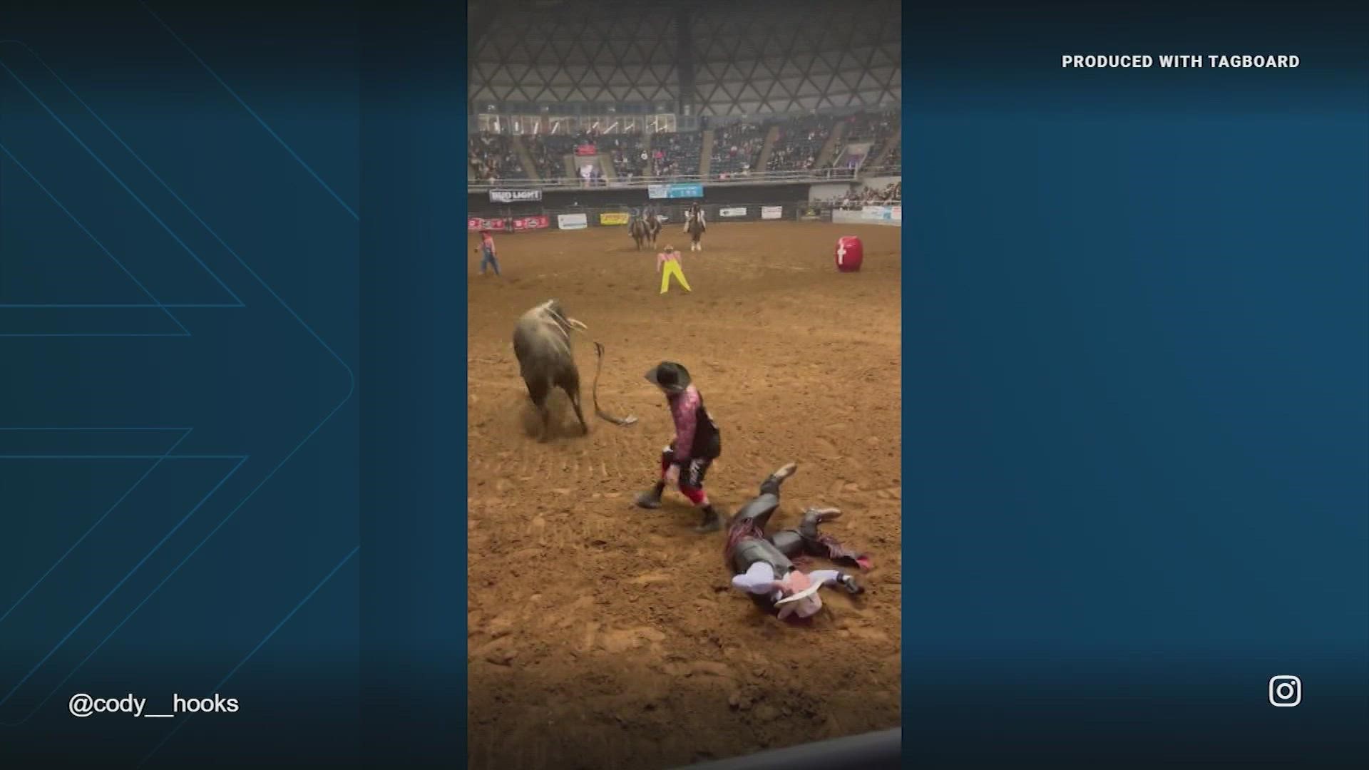 The bull rider is bucked off and lying unconscious on the ground. That's when his father jumped in to shield his son from the bull.