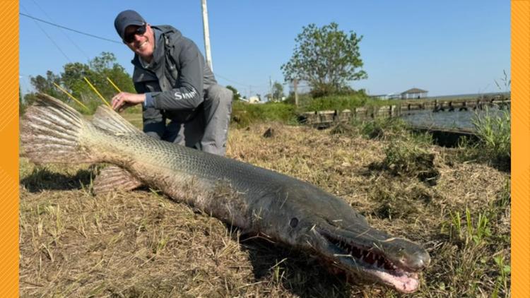 Art Weston lands 153-pound alligator gar in Lake Livingston on 2-lb ...
