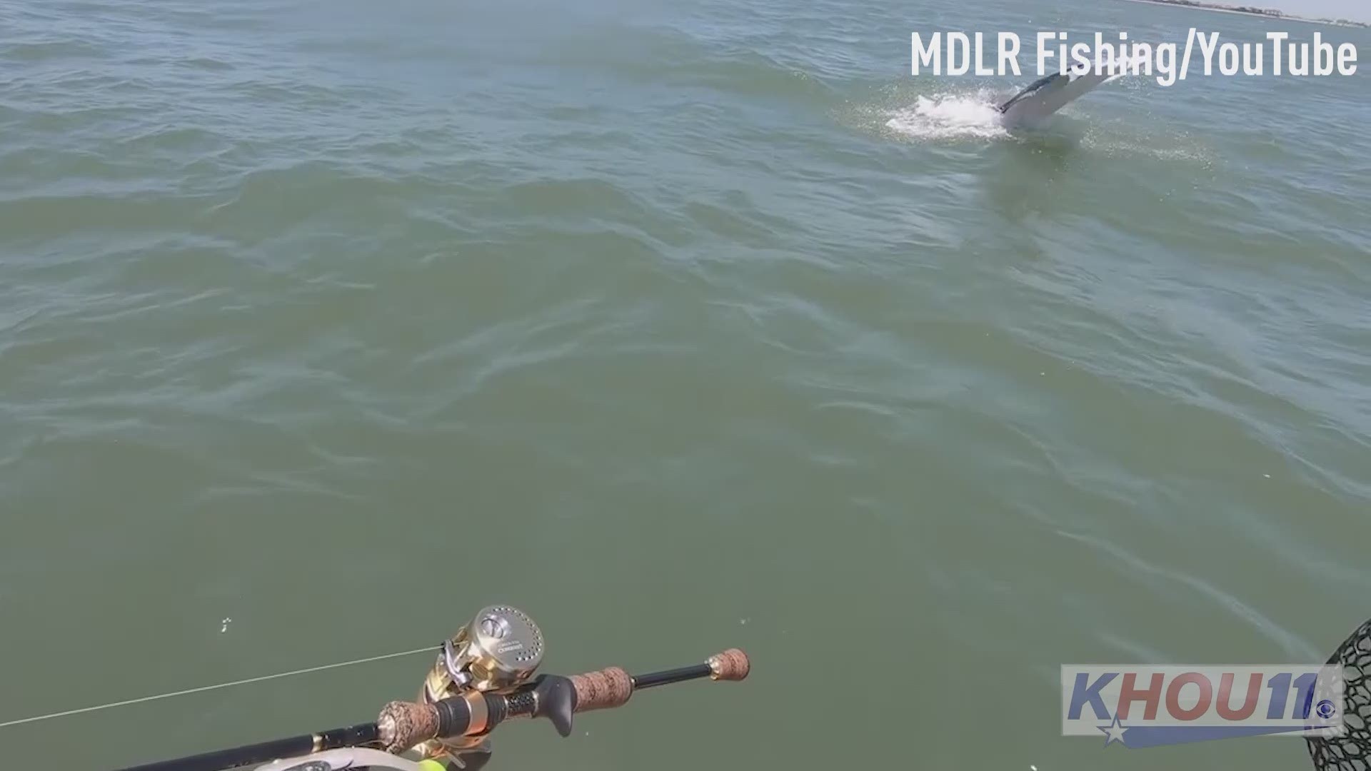 Video credit: MDLR Fishing