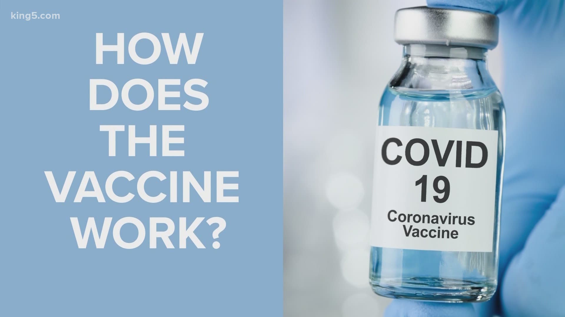 Over a dozen potential COVID-19 vaccines are in development around the world, and a few are now entering the final phase of human test trials. So, how does it work?