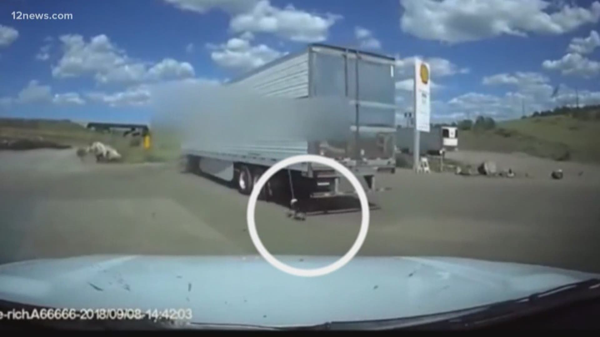 Talk about a great save. The Yavapai County Sheriff's Office posted an incredible video of a dog being saved from the back of a semi-truck.
