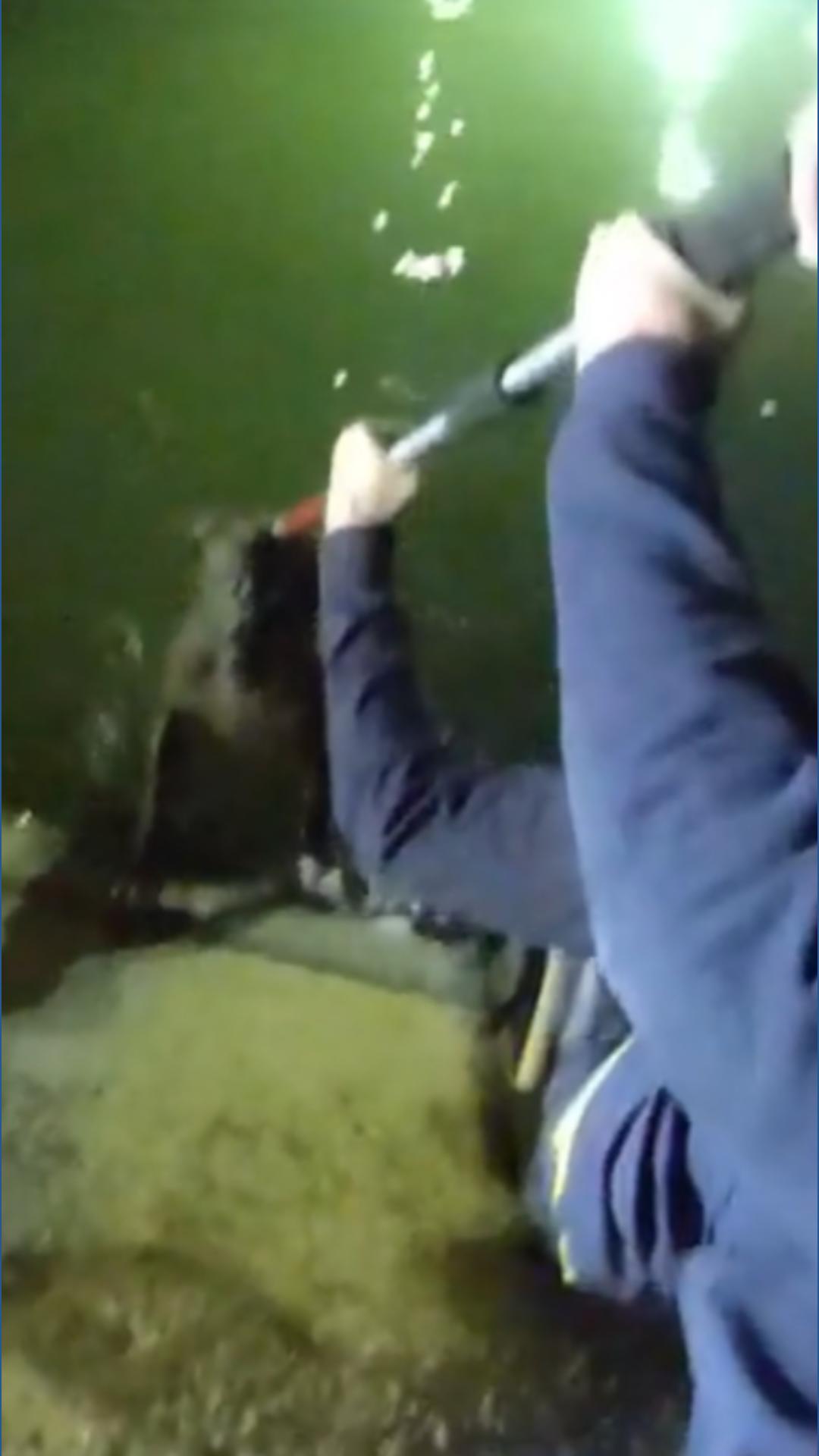 WATCH: Police rescue dog found trapped in canal | wltx.com