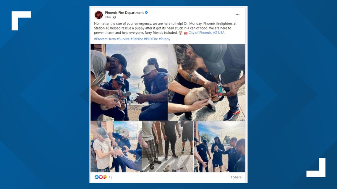 Puppy with head stuck in can rescued by Phoenix firefighters | wltx.com
