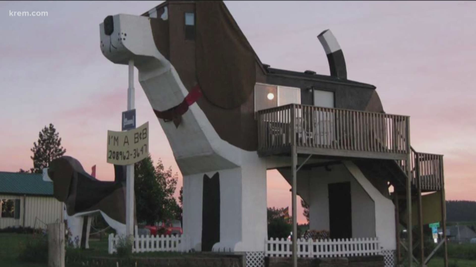 Dog Themed Hotel in Idaho Named One of the Quirkiest Hotels in the