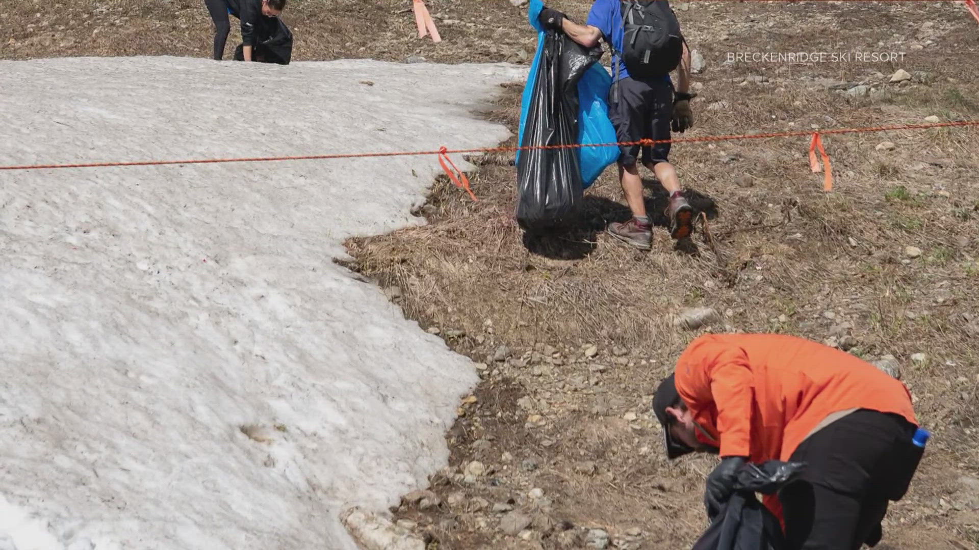 More than 200 employees removed about 800 pounds of trash from the mountain—and boy, did they find some weird stuff!