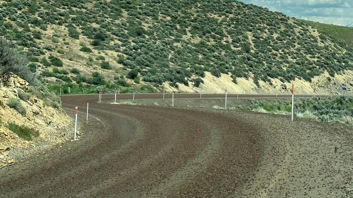 Millions of Mormon crickets invade Nevada city