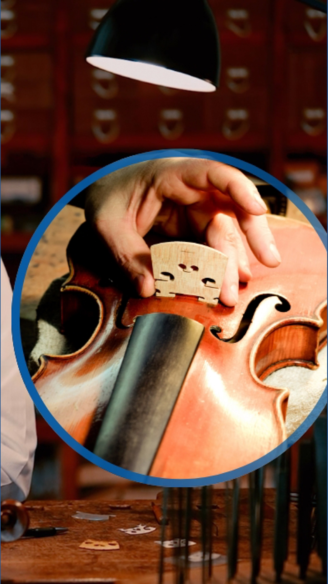 50 Years in Cremona: The Art of Violin Making | wltx.com