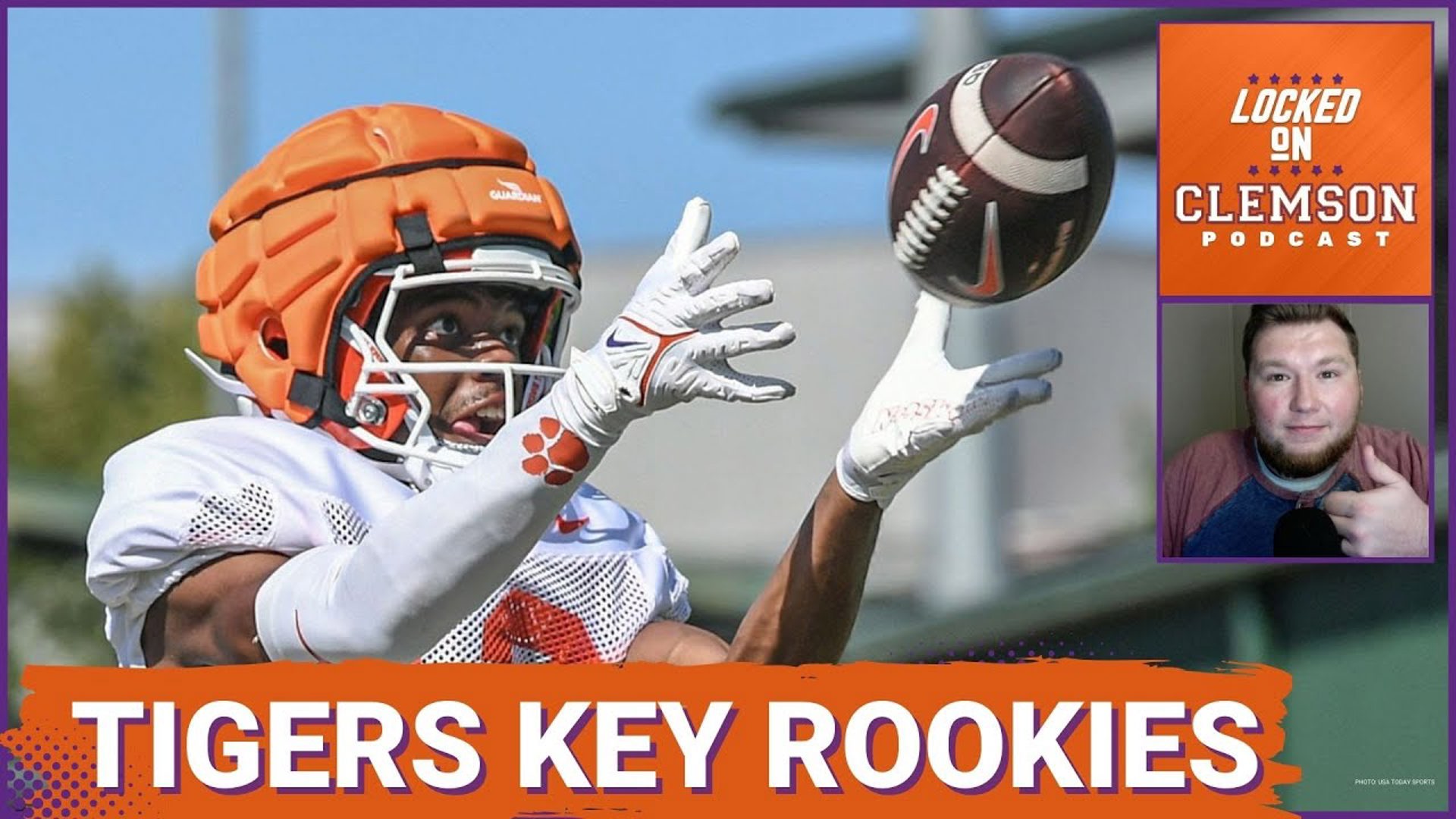 If the Clemson Tigers football team want to defeat the Georgia Bulldogs they will need some key rookies to have a great game.