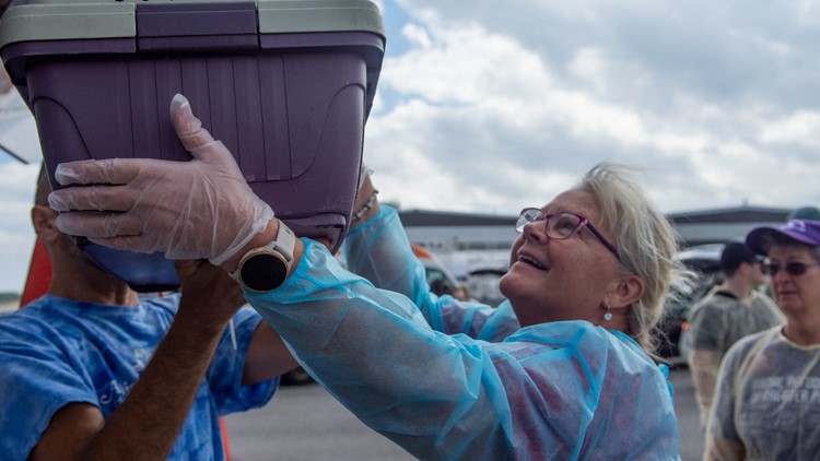 Maine volunteers rescue more than 300 cats and dogs from Puerto Rico