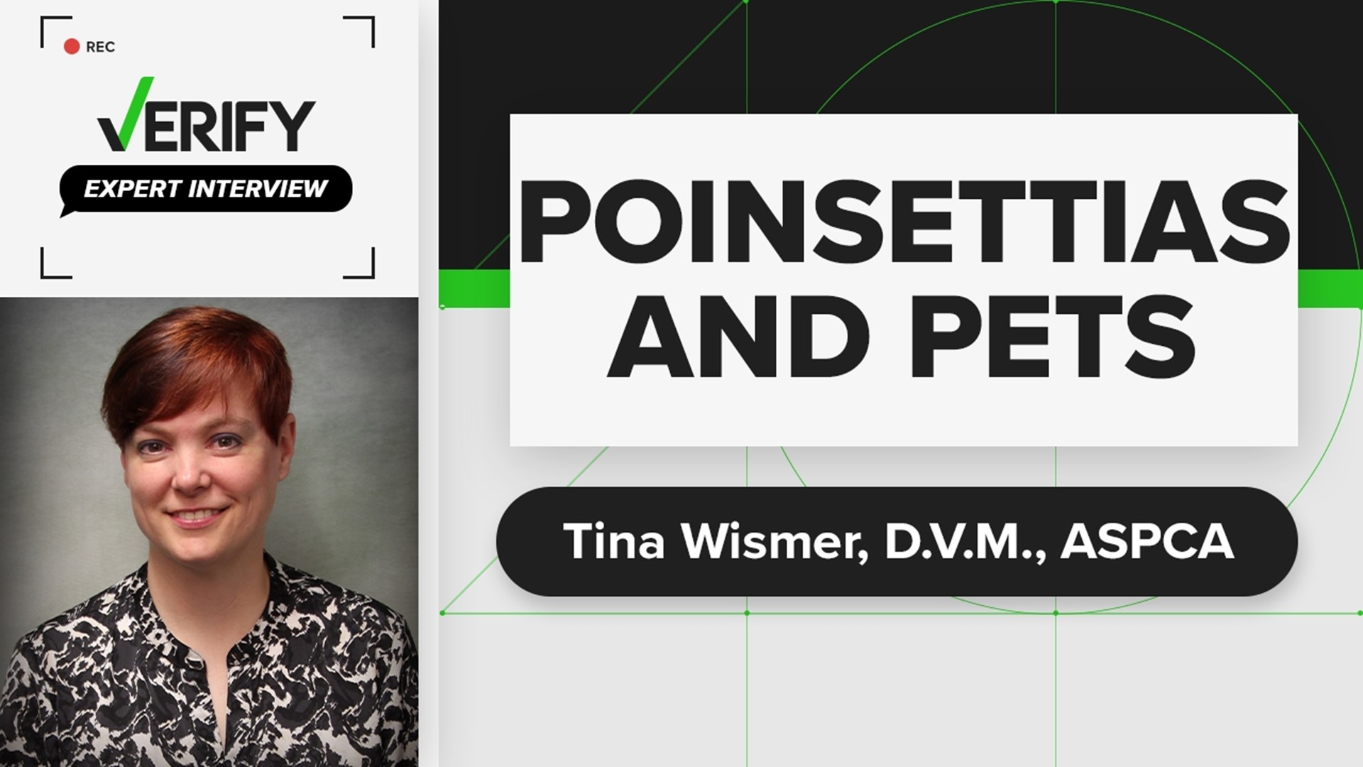 Tina Wismer, D.V.M. of the ASPCA breaks down whether poinsettias and mistletoe are toxic to household pets and what to do if one of your pets eats them.