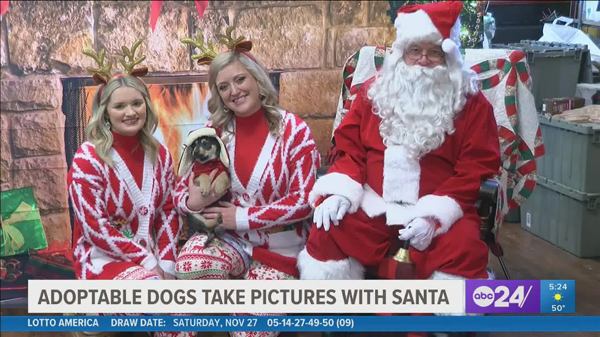 At the Hollywood Feed store on Collins Street, owners got a chance to get a picture of their furbaby with Santa for a small donation