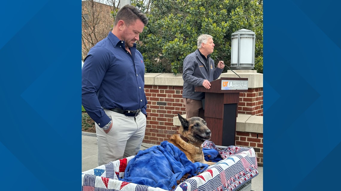 Layka the hero dog dies at 13 - Vimarsana News