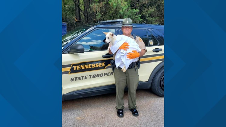 'Princess': Trooper adopts dog he rescued from extreme heat