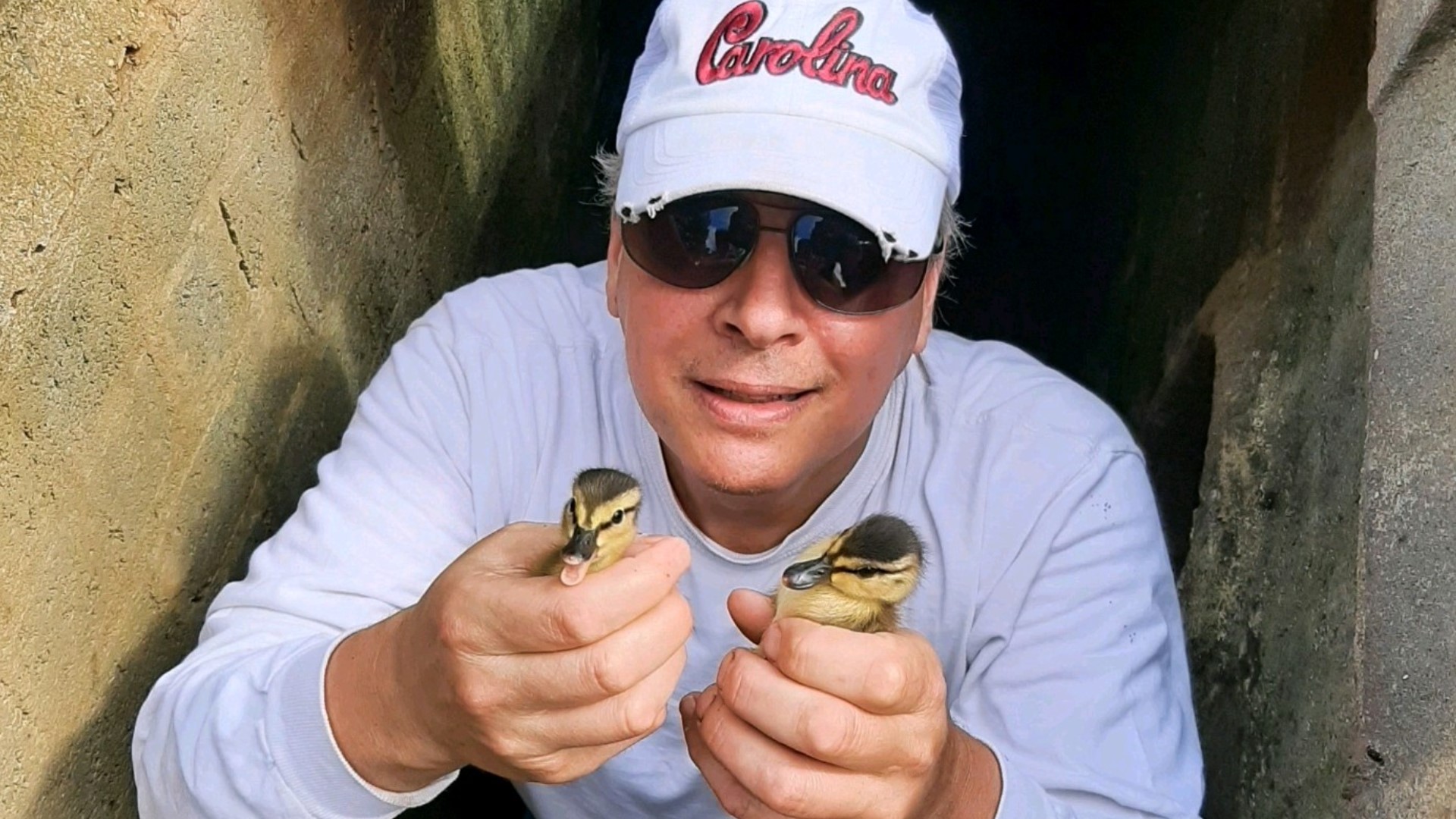 When the Good Samaritan noticed ducklings in a storm drain, he climbed down to rescue the baby animals.