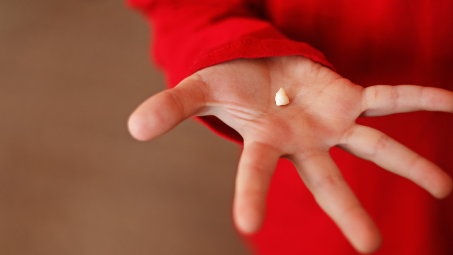 How much is a lost tooth really worth? According to Delta Dental, it seems like the payout has gotten higher.