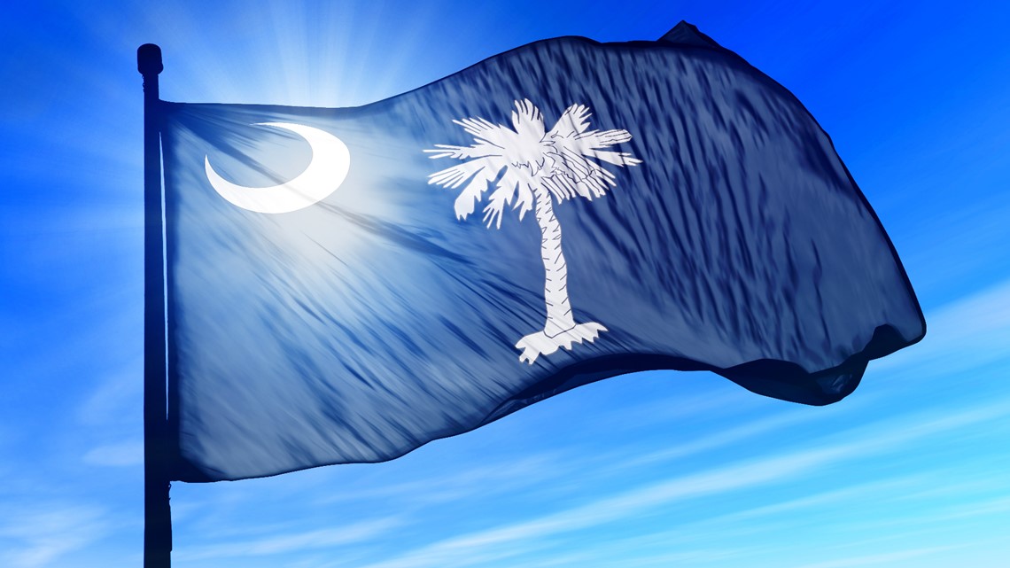 South Carolina housing crisis amid record growth - Vimarsana News