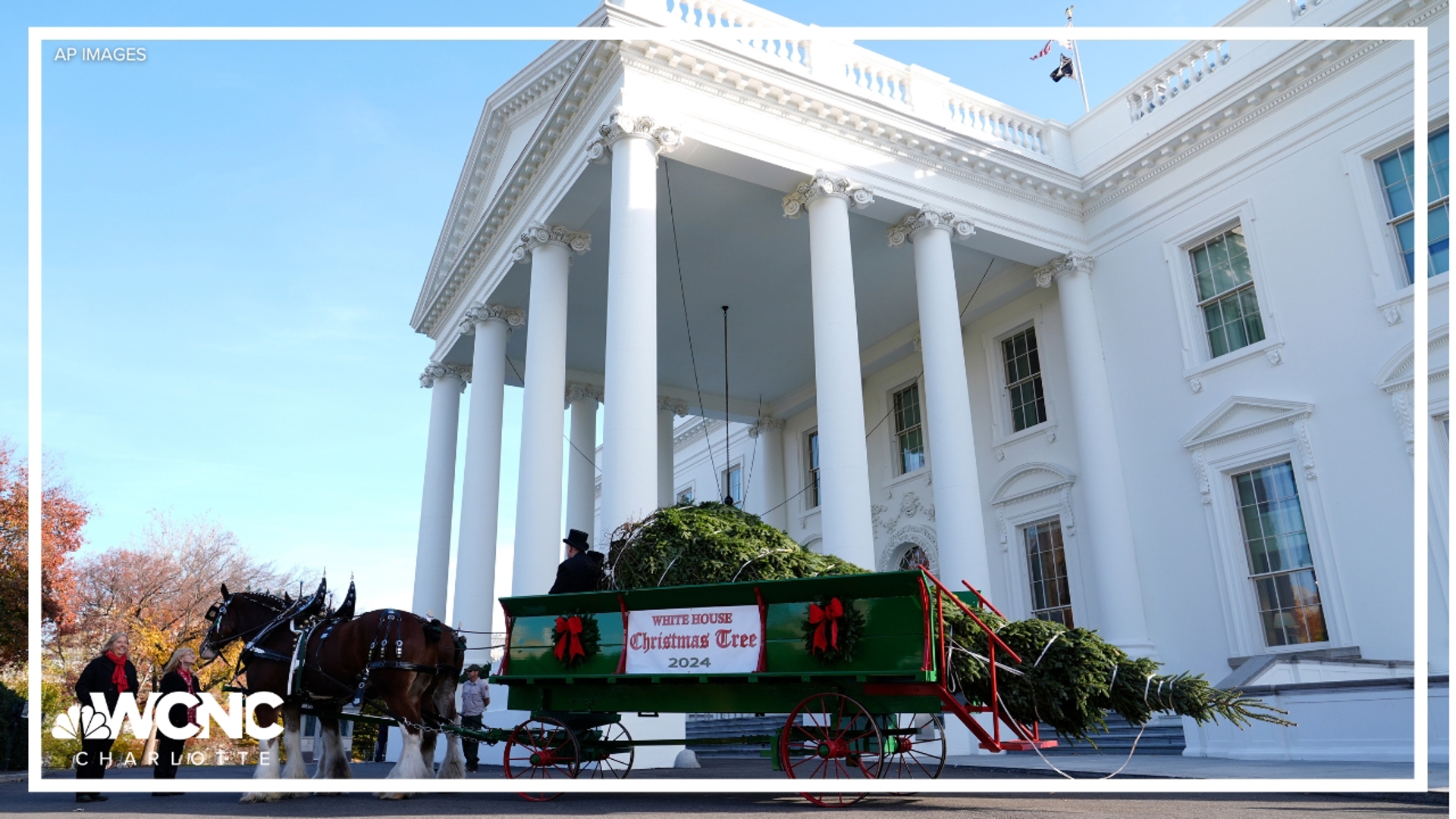 First Lady Jill Biden receives the 2024 White House Christmas tree, which was harvested from North Carolina after Helene.