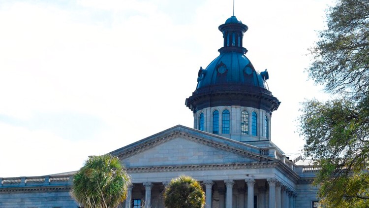 Who voted for, against South Carolina's Fetal Heartbeat Act?