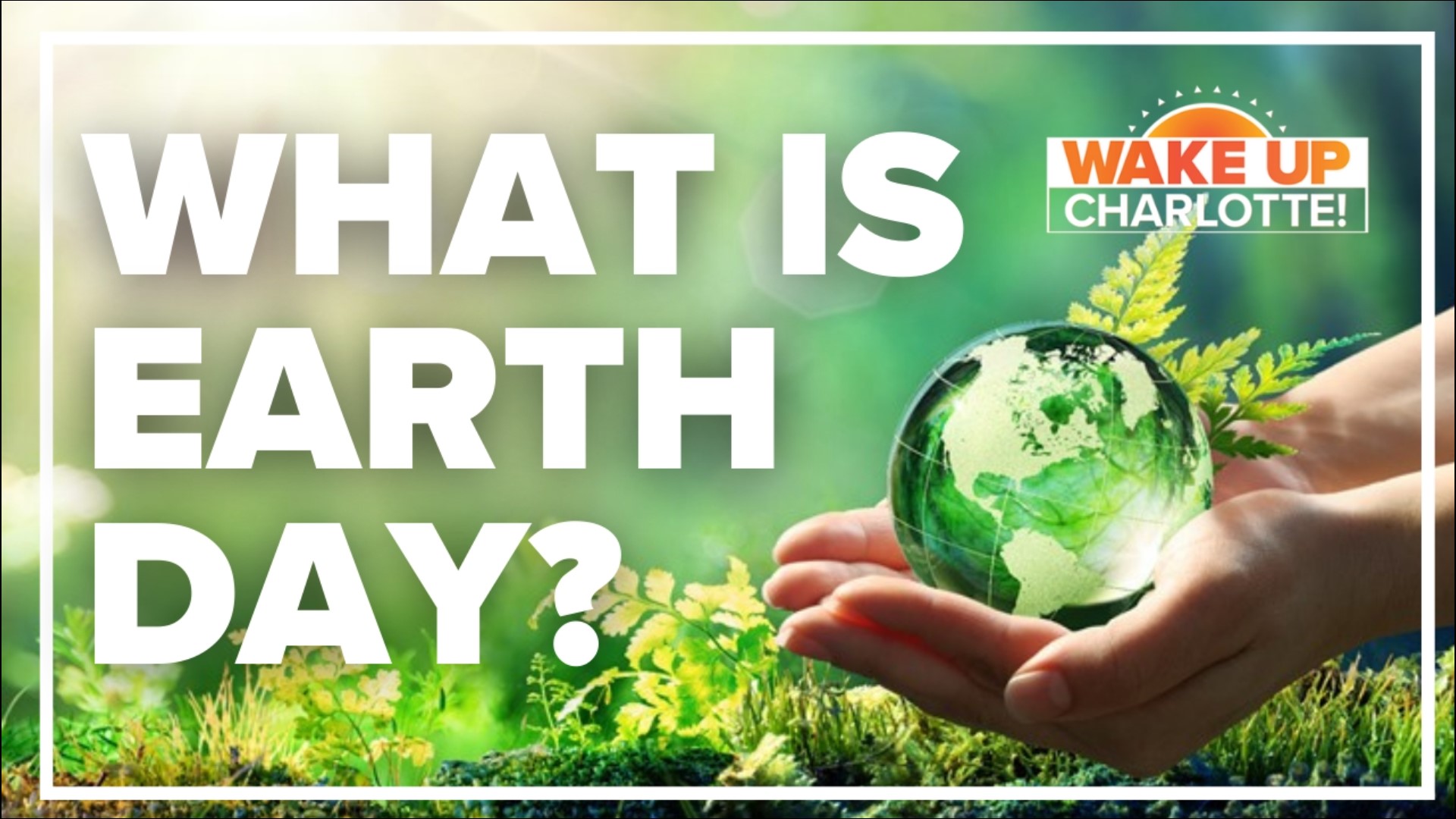 The first Earth day happened in 1970. The idea came from Wisconsin senator Gaylord Nelson.