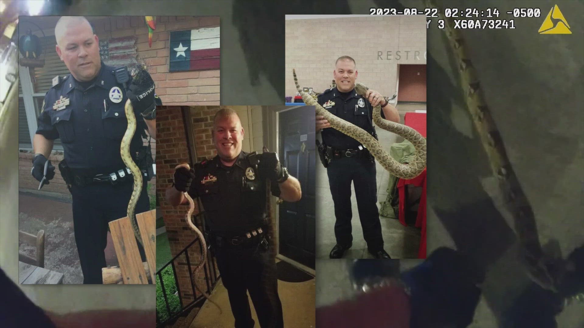 In August, Officer Burres was dispatched to an apartment complex for a "four-foot python." It would end up being an eight-foot red tail boa named "Bonnie".