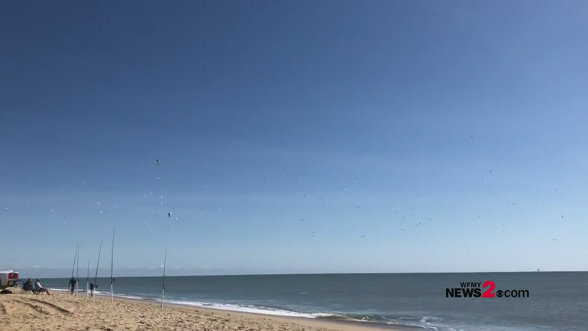You can fish right on the beach in the Outer Banks.