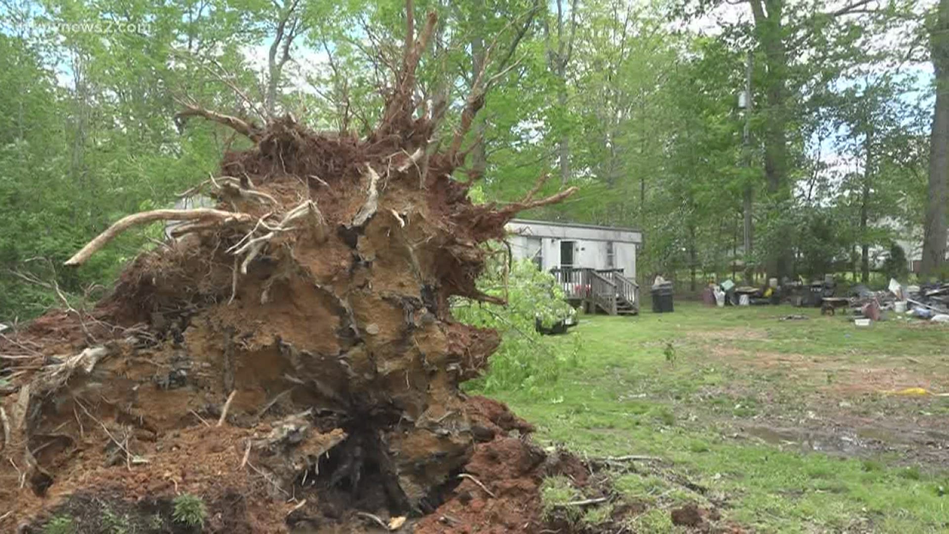 Beverly Long and her husband were sleeping when the tree fell. He was able to escape.