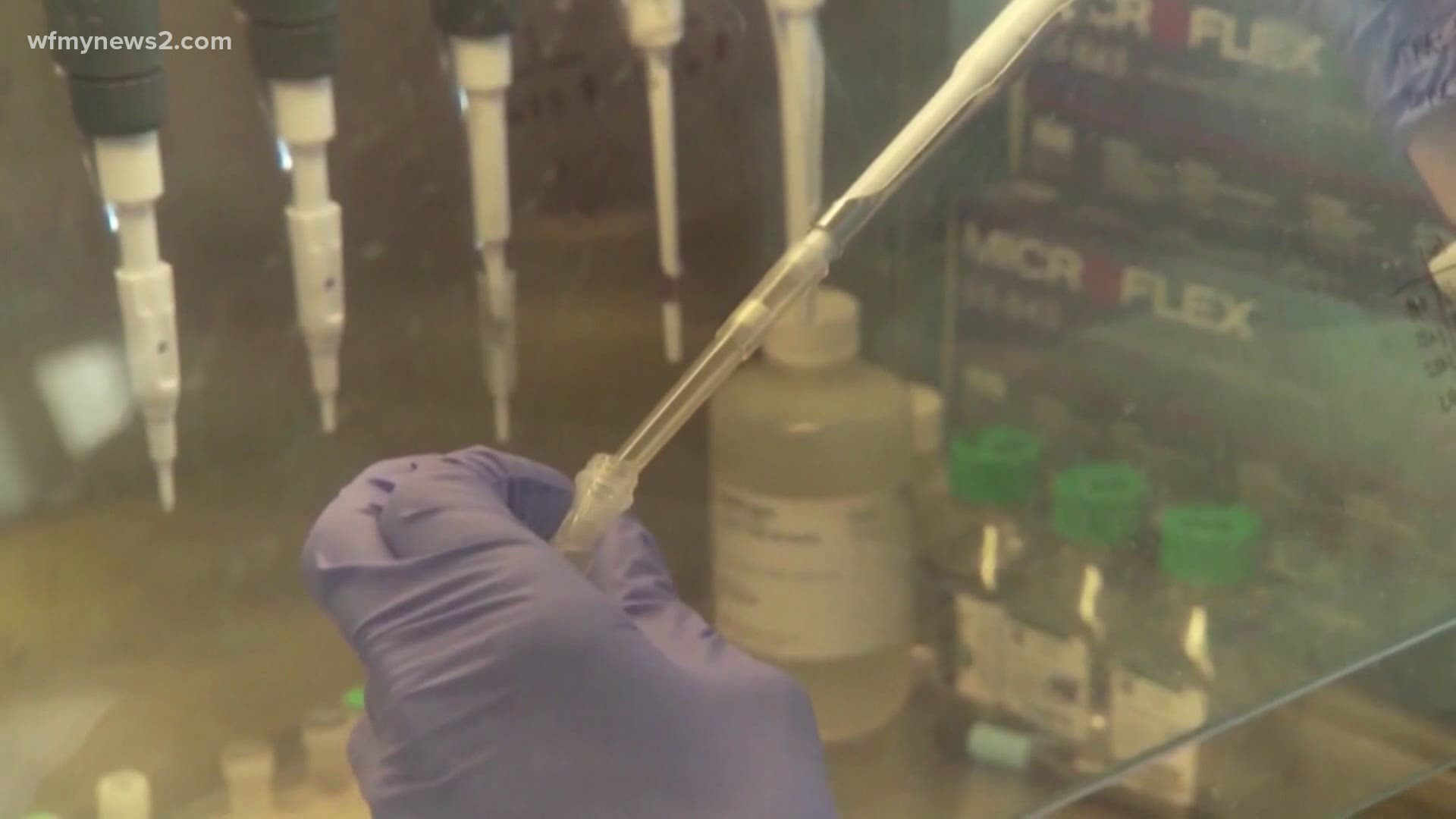 Health experts said the variant is something to watch, but there's no evidence it is more deadly than the current strain of coronavirus.