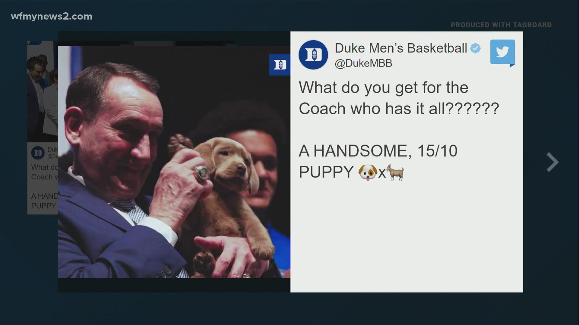 Duke Men’s Basketball surprised Head Coach Mike Krzyzewski with a warm and fuzzy retirement gift – a new puppy named ‘Coach!’